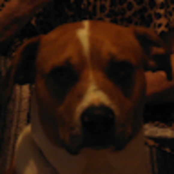 Meet your Posher, James - Picture 1 of 1